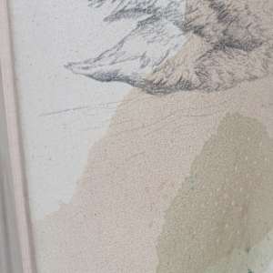 Trumpeter Swan, Big Love on the Lake by Alicia Hauff Studio 