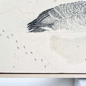 Canada Goose, Collectivists in Action by Alicia Hauff Studio 