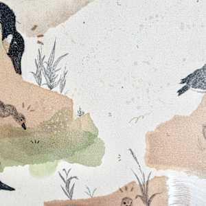 Canada Goose, Collectivists in Action by Alicia Hauff Studio 