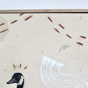 Canada Goose, Collectivists in Action by Alicia Hauff Studio 