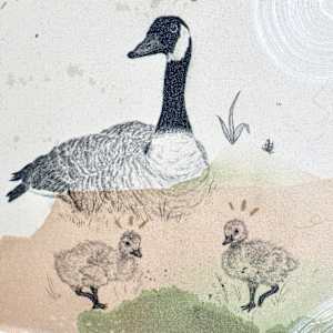 Canada Goose, Collectivists in Action by Alicia Hauff Studio 