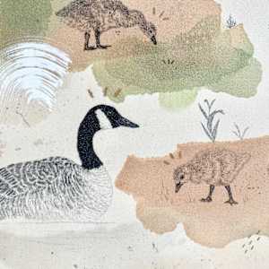 Canada Goose, Collectivists in Action by Alicia Hauff Studio 