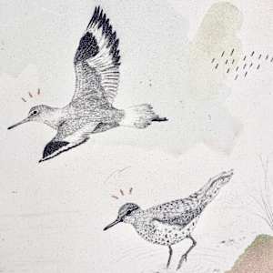 "Sandpipers, One Foot on Land, the Other in Water" by Alicia Hauff Studio 