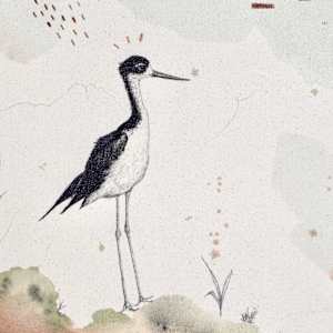 "Sandpipers, One Foot on Land, the Other in Water" by Alicia Hauff Studio 