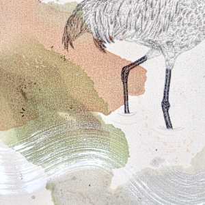 Sandhill Cranes' Dance of Life by Alicia Hauff Studio 