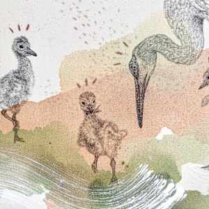 Sandhill Cranes' Dance of Life by Alicia Hauff Studio 