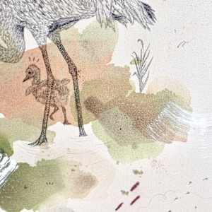 Sandhill Cranes' Dance of Life by Alicia Hauff Studio 