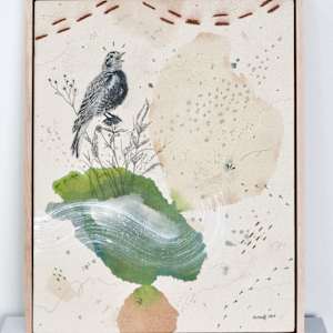 Chestnut Collared Longspur, Warbling in the Shortgrass by Alicia Hauff Studio