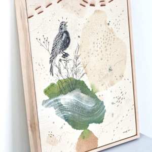 Chestnut Collared Longspur, Warbling in the Shortgrass by Alicia Hauff Studio 