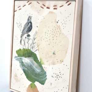 Chestnut Collared Longspur, Warbling in the Shortgrass by Alicia Hauff Studio 