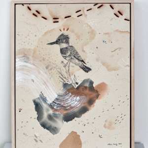 Belted Kingfisher, Dive, Rattle and Roll by Alicia Hauff Studio