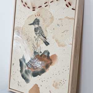 Belted Kingfisher, Dive, Rattle and Roll by Alicia Hauff Studio 