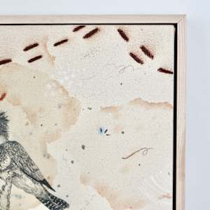 Belted Kingfisher, Dive, Rattle and Roll by Alicia Hauff Studio 