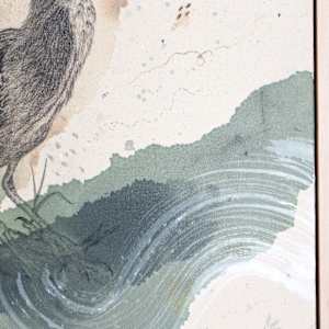 Green Heron, Luring at the Water's Edge by Alicia Hauff Studio 