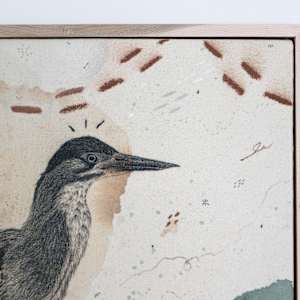 Green Heron, Luring at the Water's Edge by Alicia Hauff Studio 