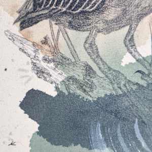 Green Heron, Luring at the Water's Edge by Alicia Hauff Studio 
