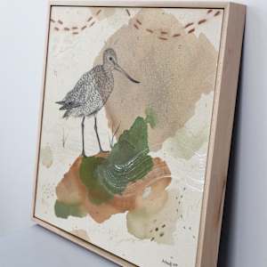Marbled Godwit, Tubular Migrant by Alicia Hauff Studio 