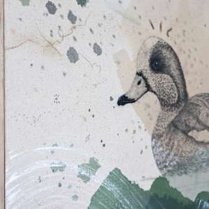 "American Wigeon, Dabbling With Pizazz" by Alicia Hauff Studio 