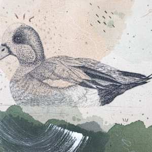 "American Wigeon, Dabbling With Pizazz" by Alicia Hauff Studio 