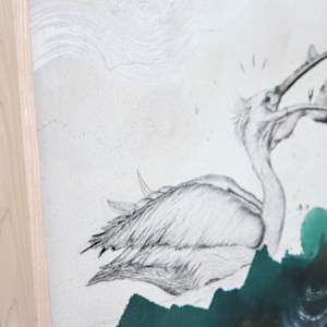 American White Pelican Canvas Print by Alicia Hauff Studio 