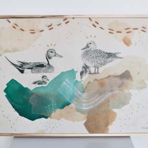 Northern Pintails Canvas Print by Alicia Hauff Studio