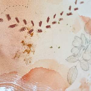 Prairie Rose Canvas Print by Alicia Hauff Studio 
