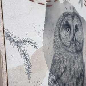 Great Gray Owl, Magisterial Giant of the North by Alicia Hauff Studio 