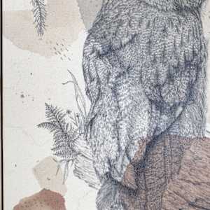 Great Gray Owl, Magisterial Giant of the North by Alicia Hauff Studio 