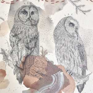 Great Gray Owl, Magisterial Giant of the North by Alicia Hauff Studio 