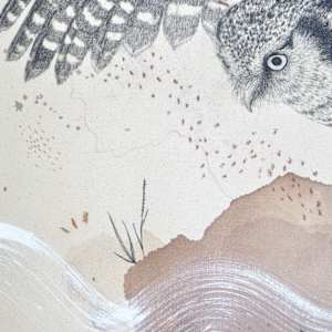Northern Hawk Owl, More Hawk Than Owl by Alicia Hauff Studio 