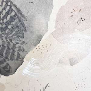 Northern Hawk Owl, More Hawk Than Owl by Alicia Hauff Studio 