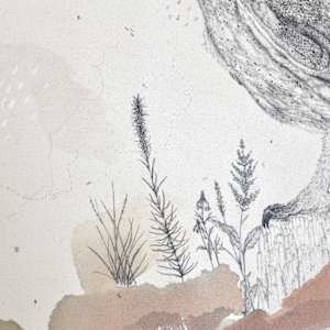 Barn Owl, Navigating the Darkest Night by Alicia Hauff Studio 