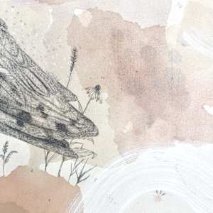 Barn Owl, Navigating the Darkest Night by Alicia Hauff Studio 