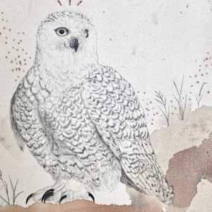 Snowy Owl, Otherworldly and Ancient by Alicia Hauff Studio 