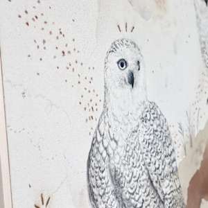Snowy Owl, Otherworldly and Ancient by Alicia Hauff Studio 