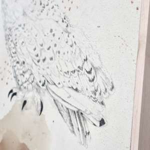Snowy Owl, Otherworldly and Ancient by Alicia Hauff Studio 