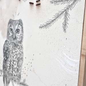 Boreal Owl, Alpine Solitaire by Alicia Hauff Studio 