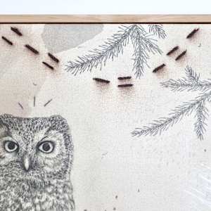 Boreal Owl, Alpine Solitaire by Alicia Hauff Studio 