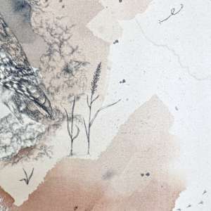 Burrowing Owl, Howdy Birds Who Hiss by Alicia Hauff Studio 