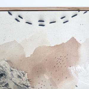 Burrowing Owl, Howdy Birds Who Hiss by Alicia Hauff Studio 
