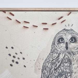 Short-Eared Owl, Open-Country Acrobat by Alicia Hauff Studio 