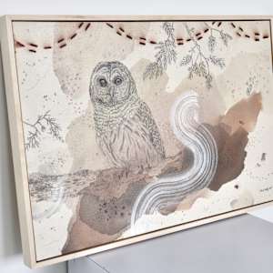 Barred Owl Hoots for You All by Alicia Hauff Studio 