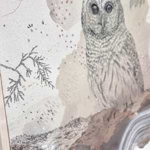 Barred Owl Hoots for You All by Alicia Hauff Studio 