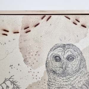 Barred Owl Hoots for You All by Alicia Hauff Studio 