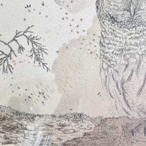 Barred Owl Hoots for You All by Alicia Hauff Studio 