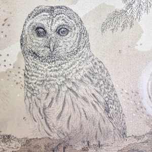 Barred Owl Hoots for You All by Alicia Hauff Studio 