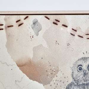 Northern Saw-Whet Owl, Cute With an Attitude by Alicia Hauff Studio 