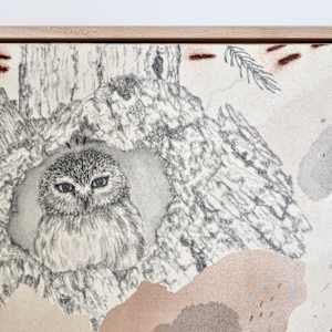Northern Saw-Whet Owl, Cute With an Attitude by Alicia Hauff Studio 