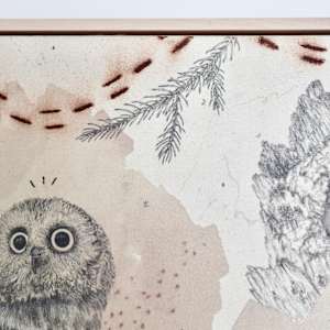 Northern Saw-Whet Owl, Cute With an Attitude by Alicia Hauff Studio 