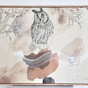 Long-Eared Owl is All Ears by Alicia Hauff Studio
